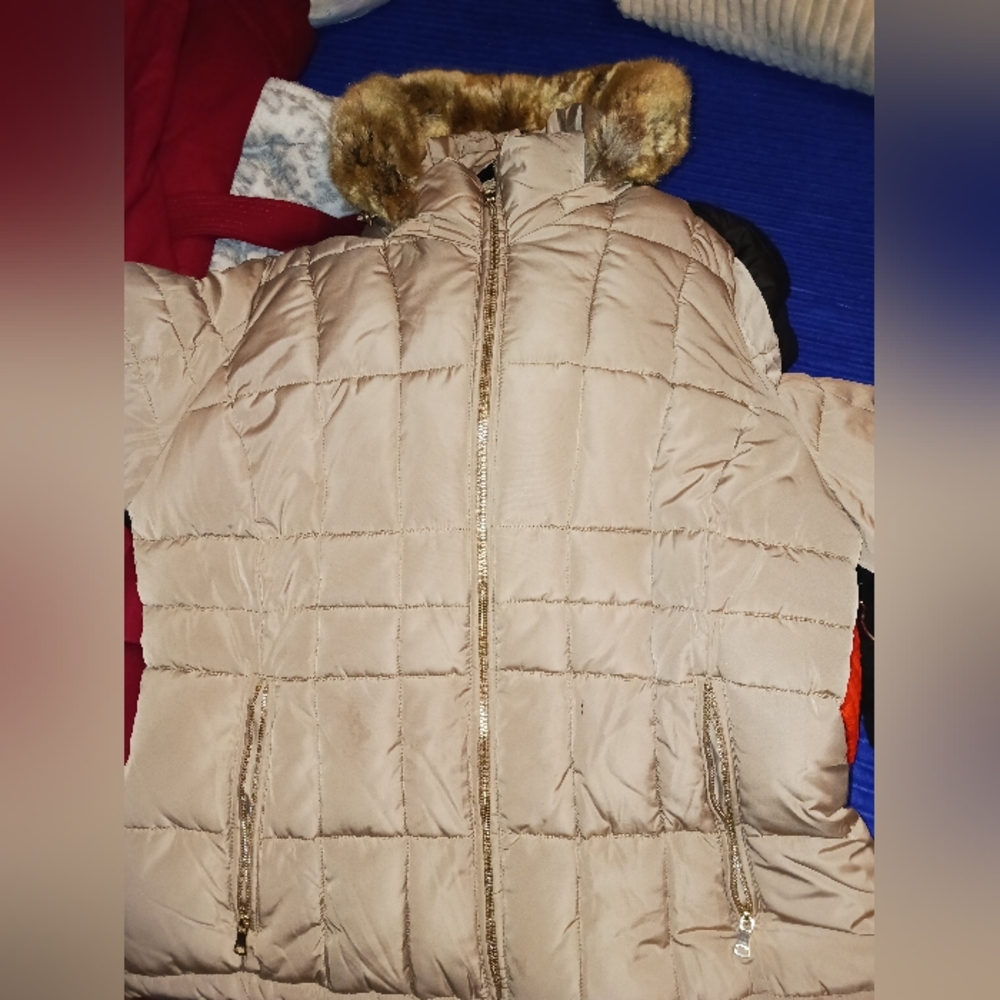 Coat